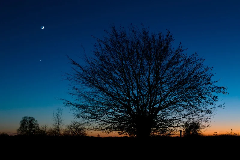 Lune et Vénus au crépuscule